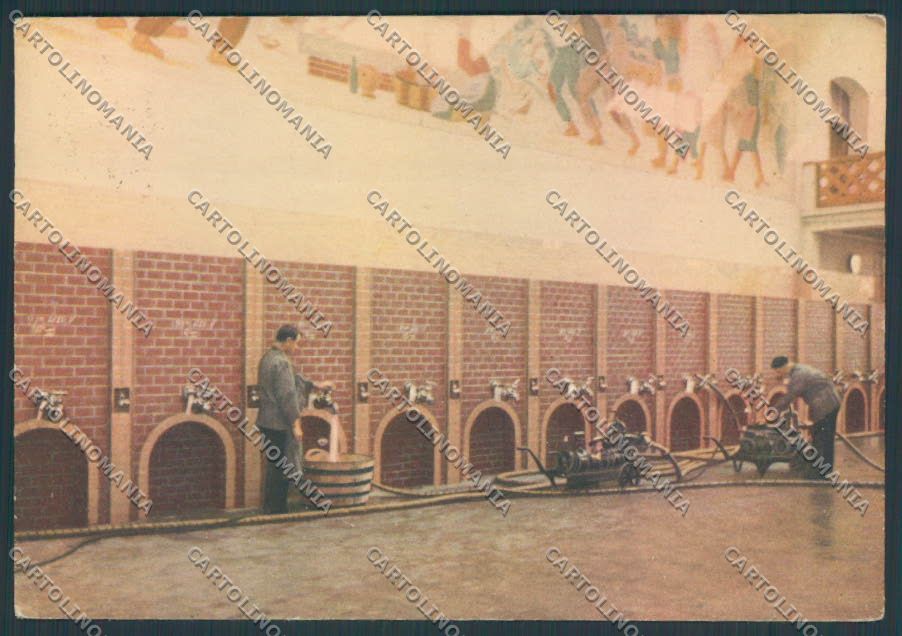 Cuneo Santa Vittoria d'Alba Cinzano FG cartolina ZF0106 – fronte