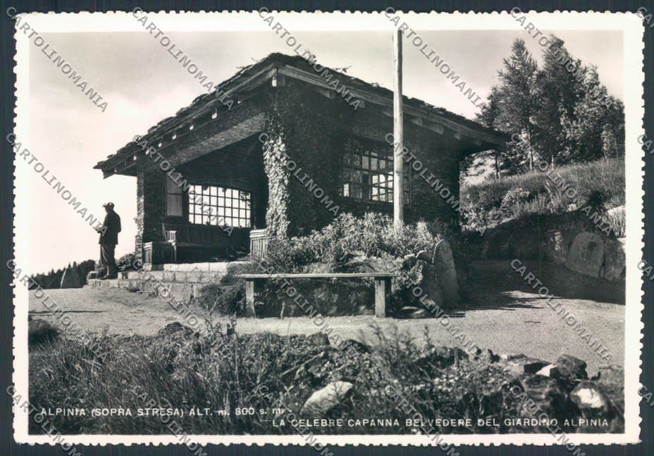 Verbania Stresa Alpinia Foto FG cartolina ZF0461 – fronte