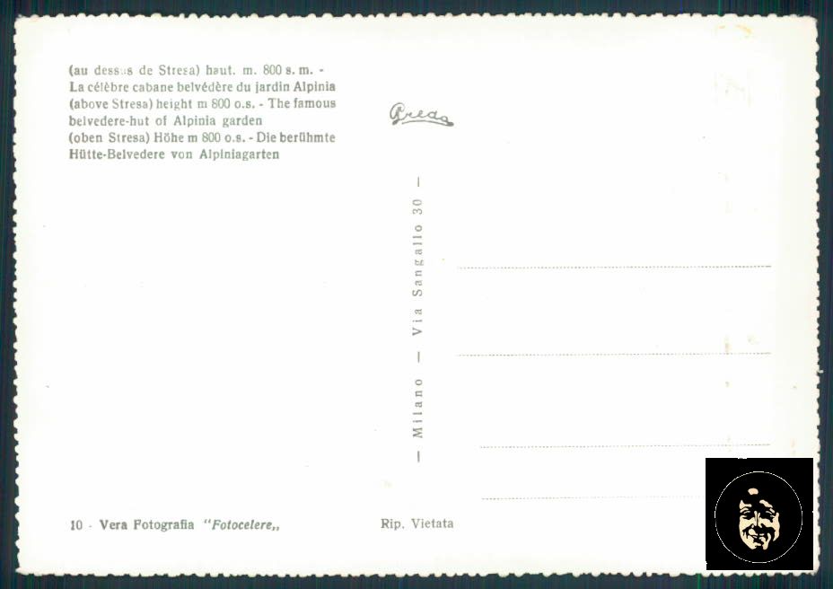 Verbania Stresa Alpinia Foto FG cartolina ZF0461 – retro