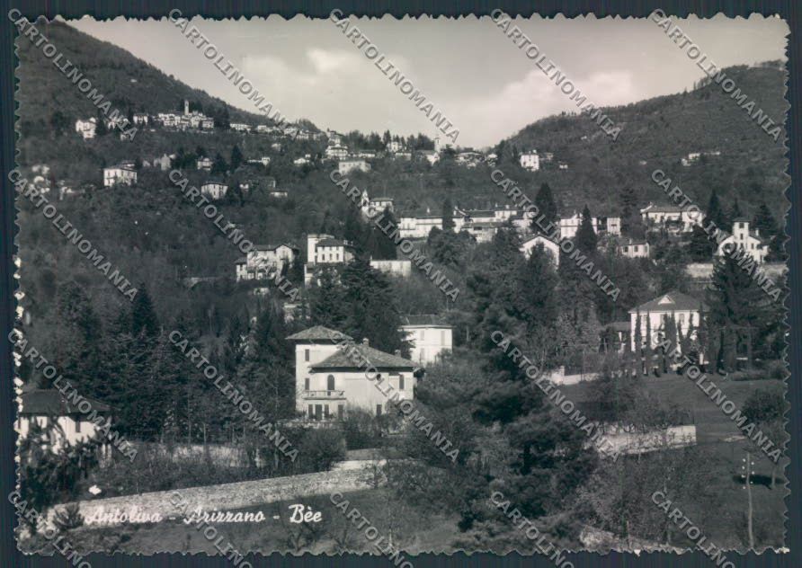 Verbania Antoliva Arizzano Bèe Foto FG cartolina ZF0462 – fronte