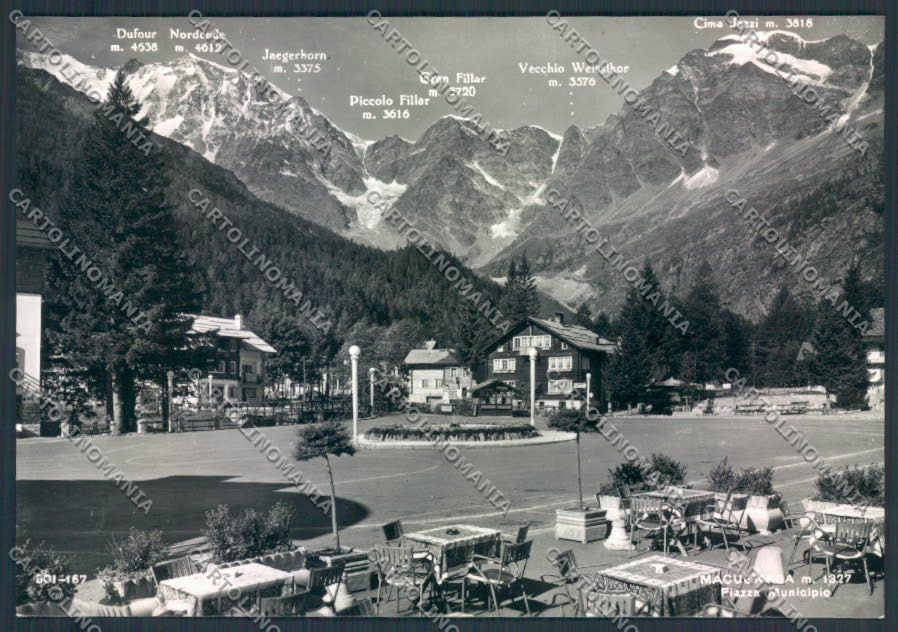 Verbania Macugnaga Foto FG cartolina ZF0559 – fronte