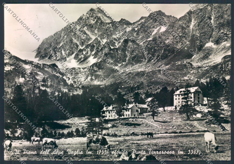 Verbania Varzo Alpe Veglia Foto FG cartolina ZF0585 – fronte