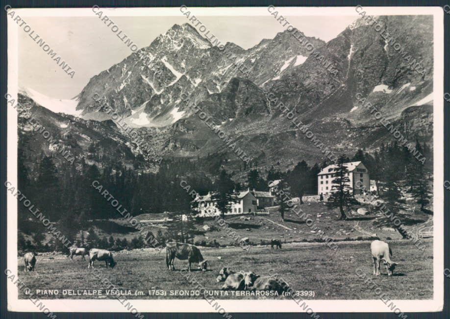 Verbania Varzo Alpe Veglia Foto FG cartolina ZF0586 – fronte