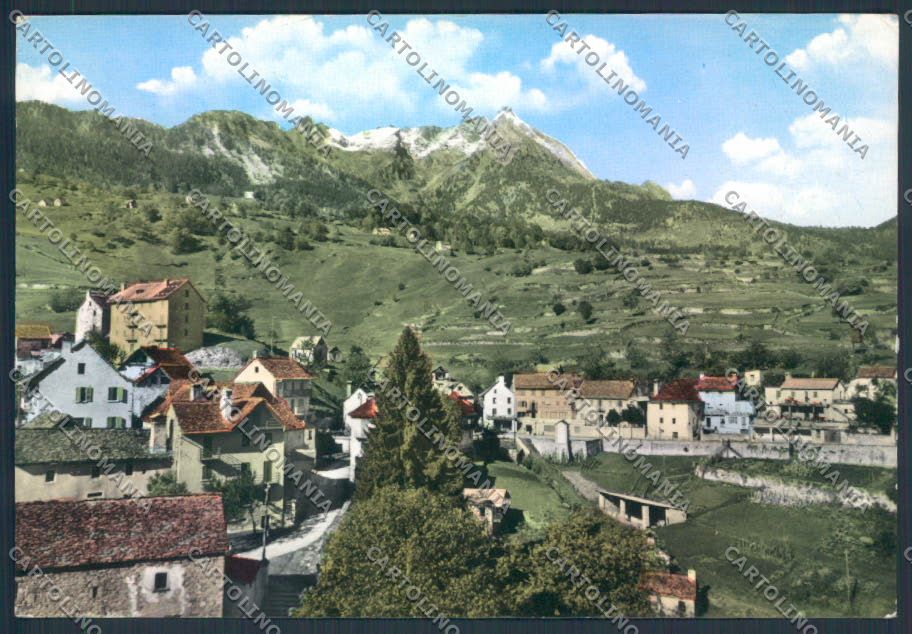 Verbania Crodo Mozzio Foto FG cartolina ZF0615 – fronte