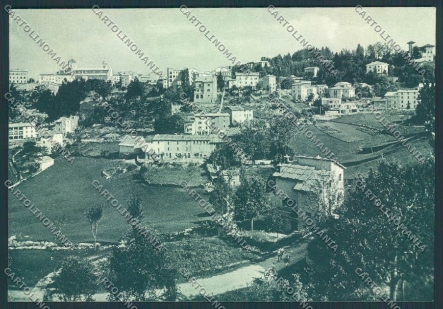 Verona Bosco Chiesanuova FG cartolina ZF0809 – fronte