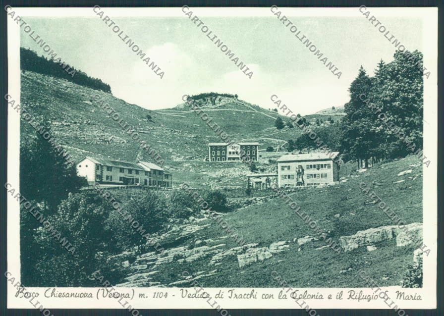 Verona Bosco Chiesanuova FG cartolina ZF0810 – fronte
