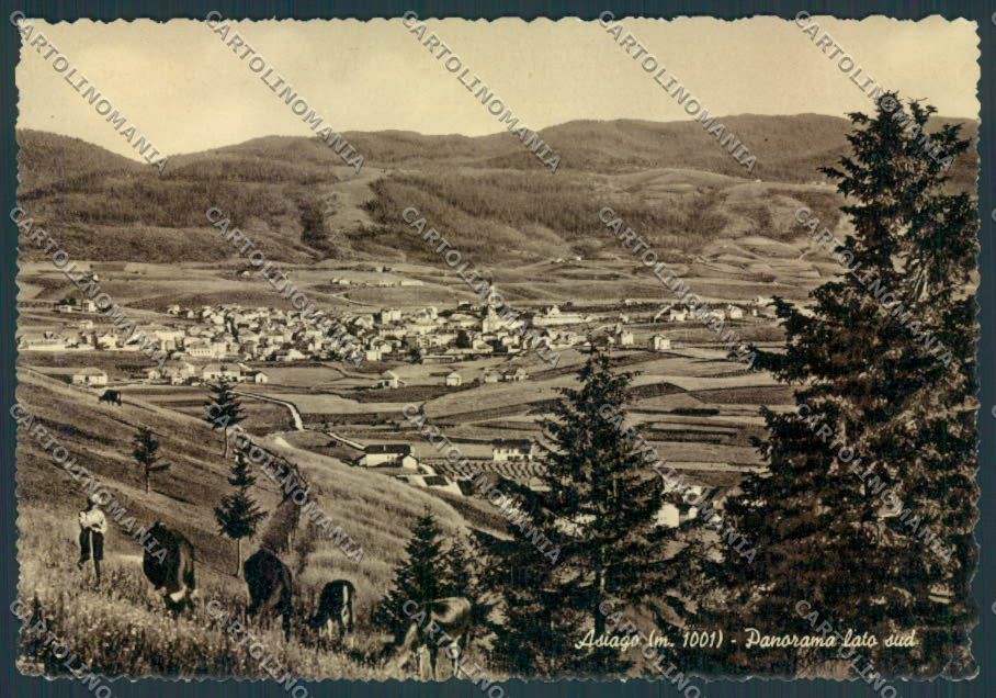 Vicenza Asiago FG cartolina ZF0819 – fronte