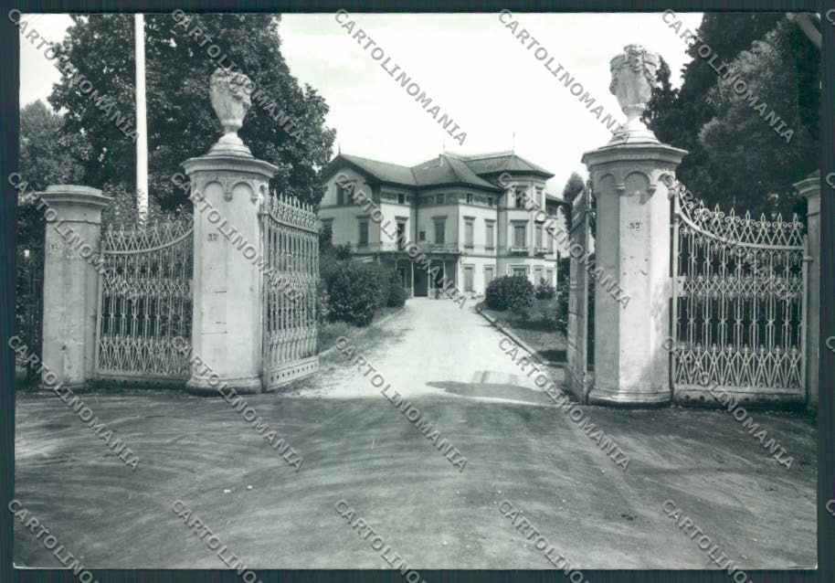 Treviso Mogliano Veneto foto FG cartolina ZF0827 – fronte