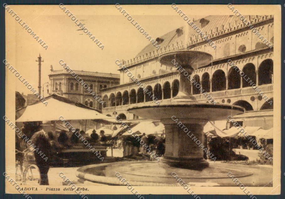 Padova città Mercato FG cartolina ZF0899 – fronte