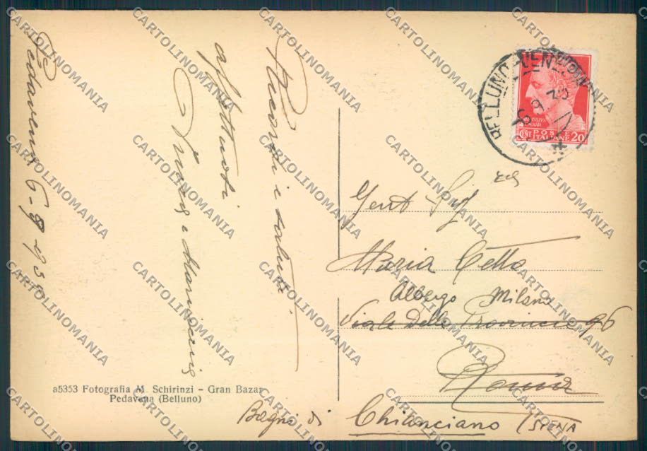Belluno Pedavena FG cartolina ZF0905 – retro