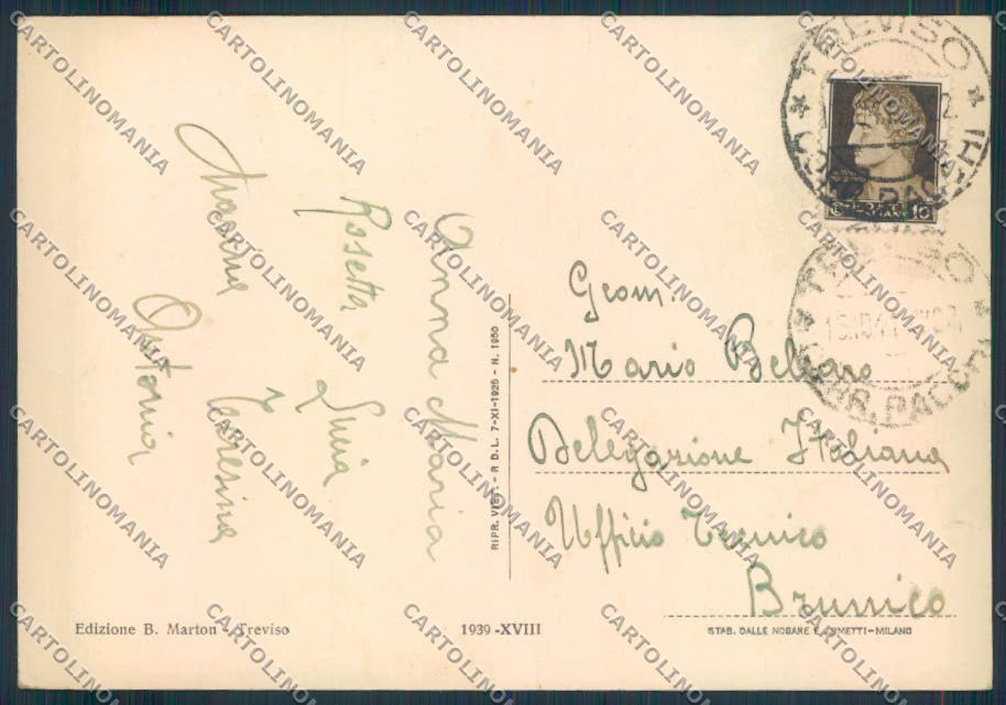 Treviso città FG cartolina ZF0950 – retro