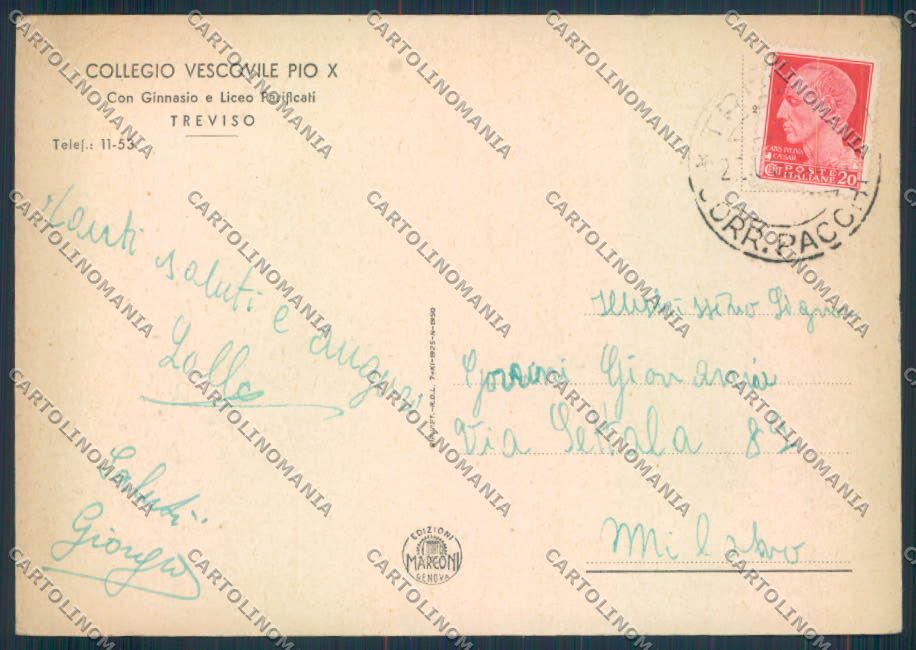 Treviso città FG cartolina ZF0954 – retro