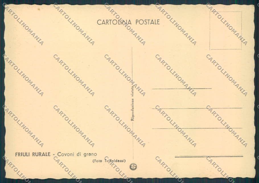 Udine Carnia Costumi Baldassi FG cartolina ZF1028 – retro