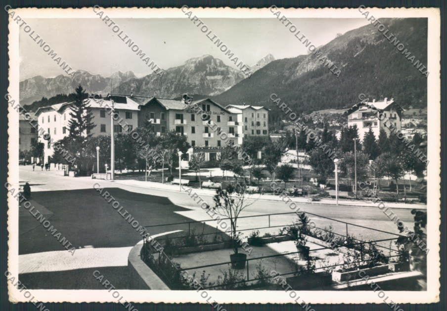 Trento Andalo foto FG cartolina ZF1159 – fronte