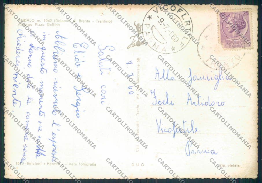 Trento Andalo foto FG cartolina ZF1159 – retro