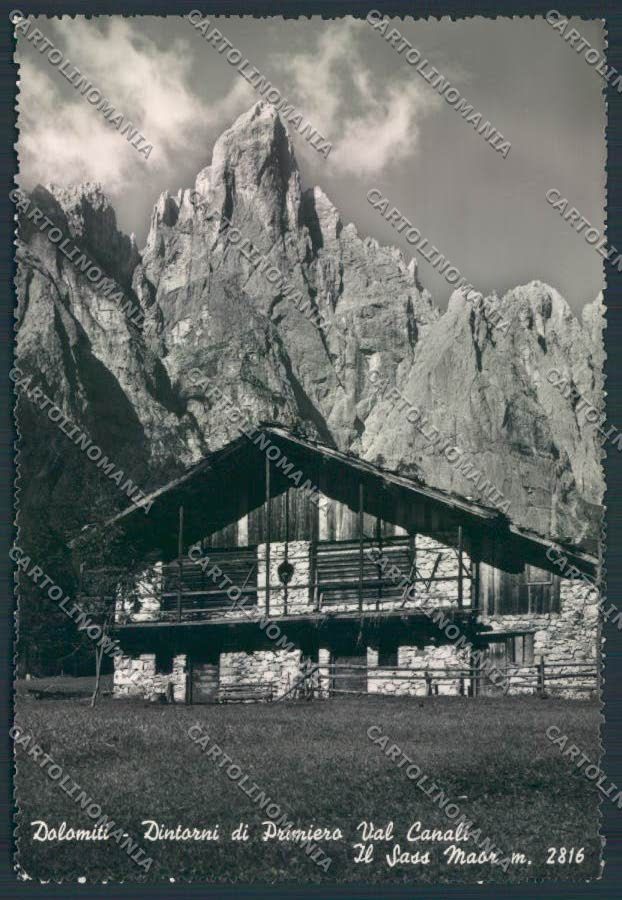 Trento Primiero foto FG cartolina ZF1169 – fronte