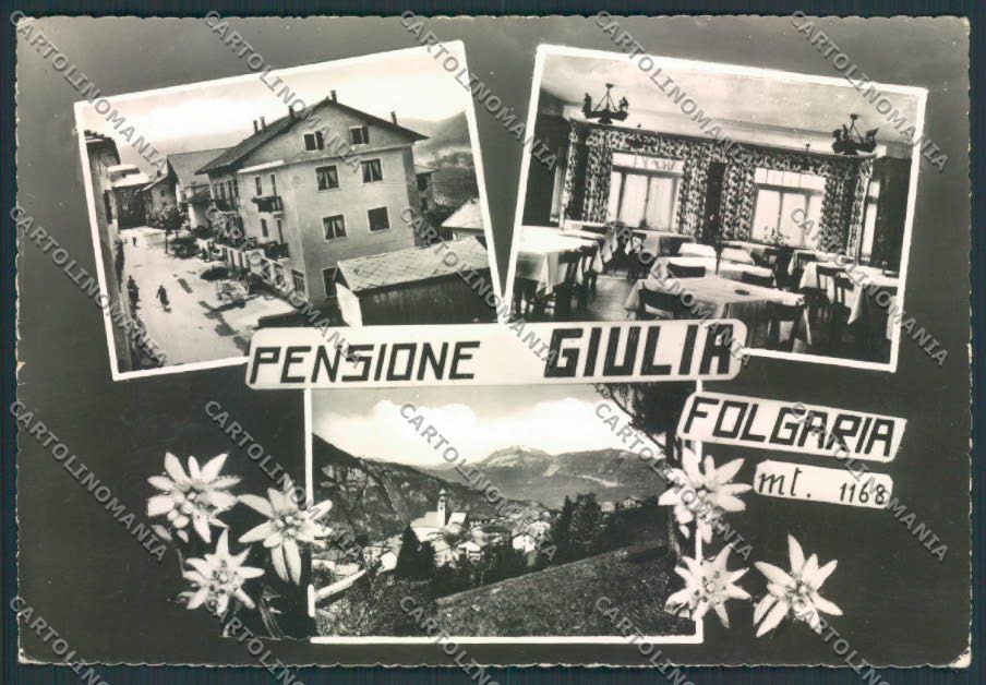 Trento Folgaria foto FG cartolina ZF1179 – fronte