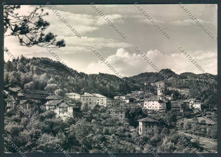 Trento Montagnaga di Piné foto FG cartolina ZF1186 – fronte