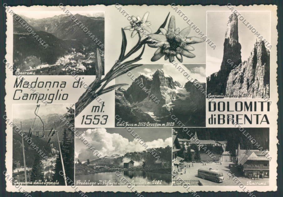 Trento Madonna di Campiglio foto FG cartolina ZF1194 – fronte