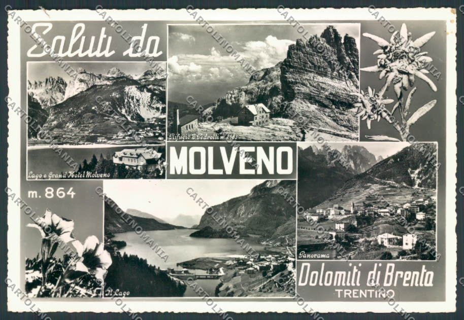 Trento Molveno Saluti da foto FG cartolina ZF1201 – fronte