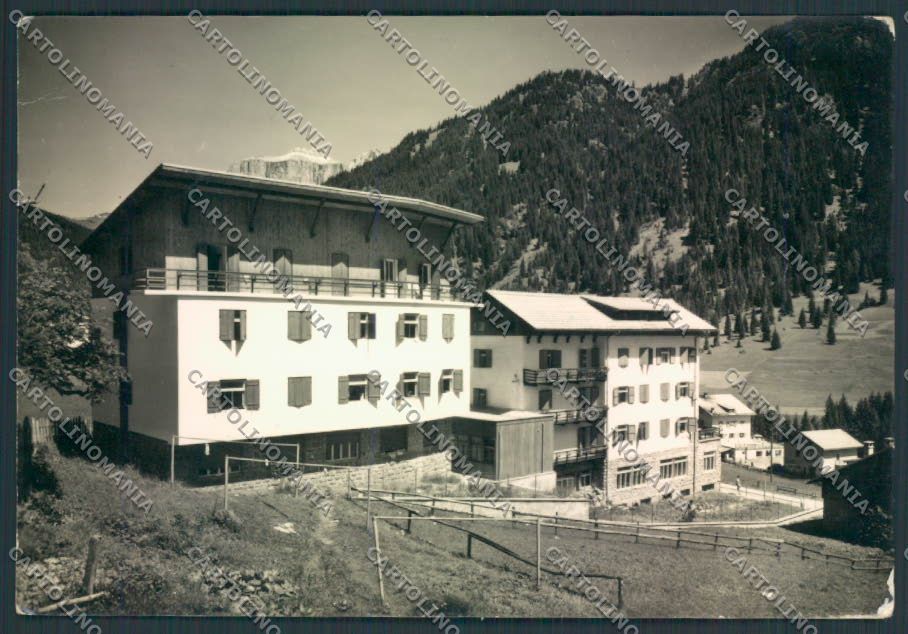 Trento Alba Val di Fassa foto FG cartolina ZF1225 – fronte