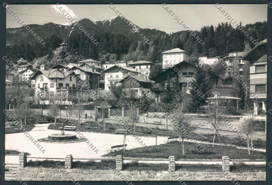 Trento Cavalese foto FG cartolina ZF1232 – fronte