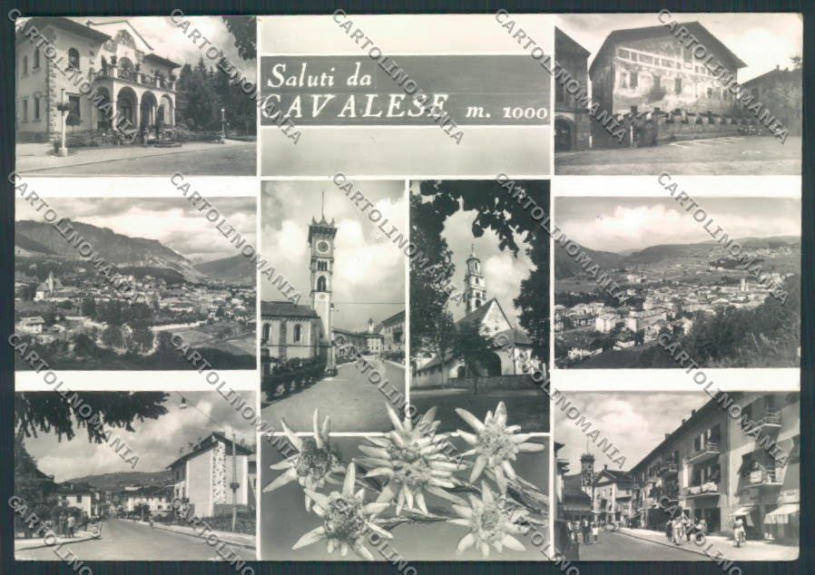 Trento Cavalese Saluti da foto FG cartolina ZF1235 – fronte