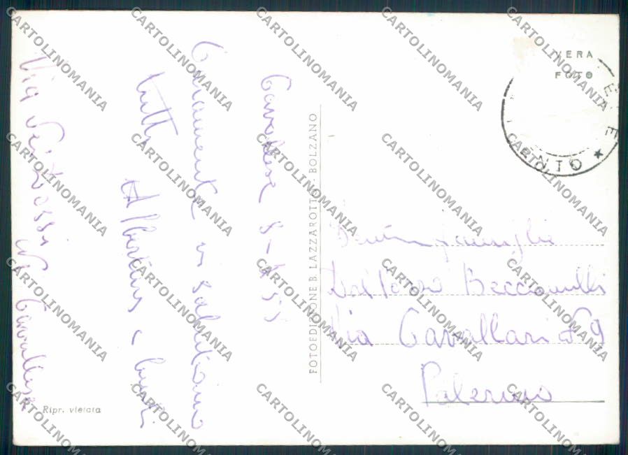Trento Cavalese Saluti da foto FG cartolina ZF1235 – retro