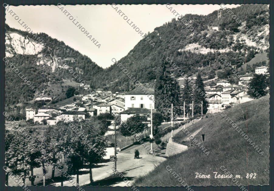 Trento Pieve Tesino foto FG cartolina ZF1246 – fronte