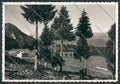 Trento Tremalzo Rifugio Guella foto FG cartolina ZF1265 – fronte