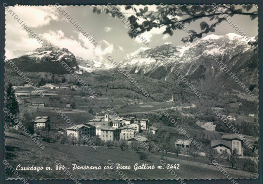 Trento Cavedago foto FG cartolina ZF1273 – fronte