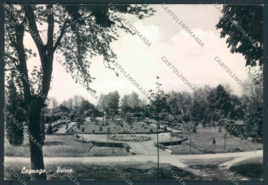 Verona Legnago foto FG cartolina ZF1327 – fronte
