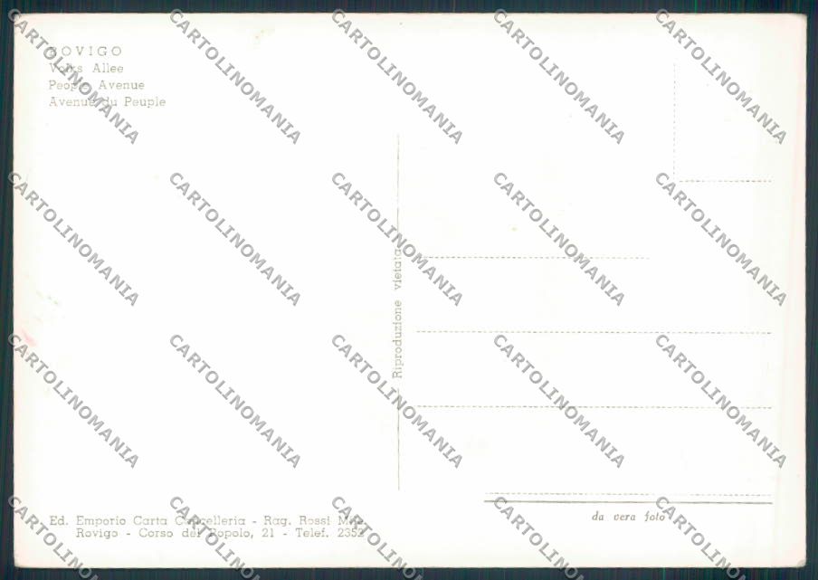 Rovigo città foto FG cartolina ZF1395 – retro