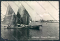 Venezia Chioggia foto FG cartolina ZF1447 – fronte
