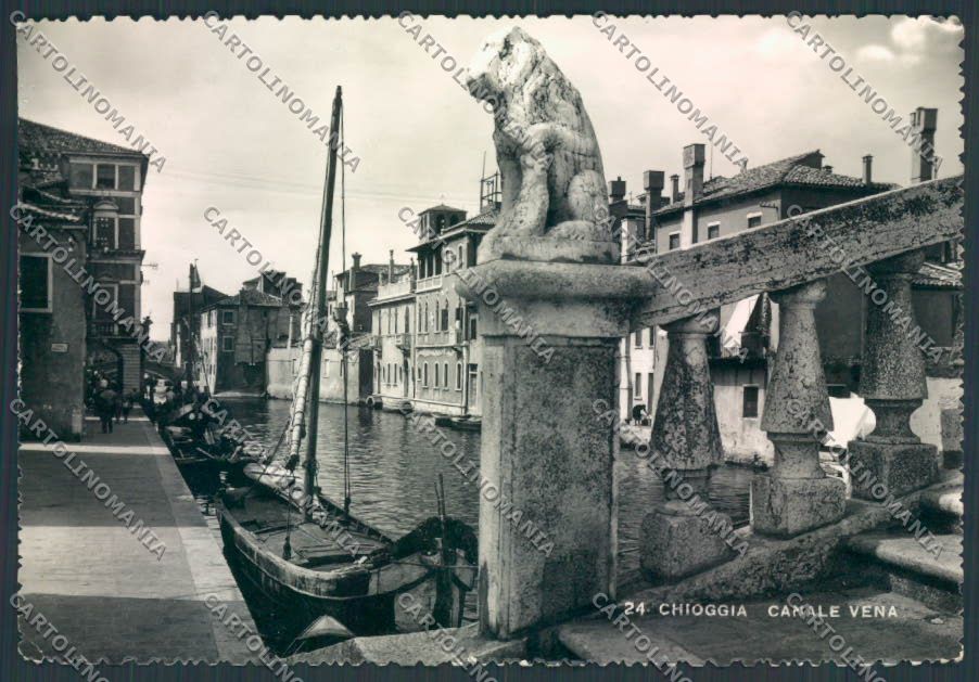 Venezia Chioggia foto FG cartolina ZF1449 – fronte