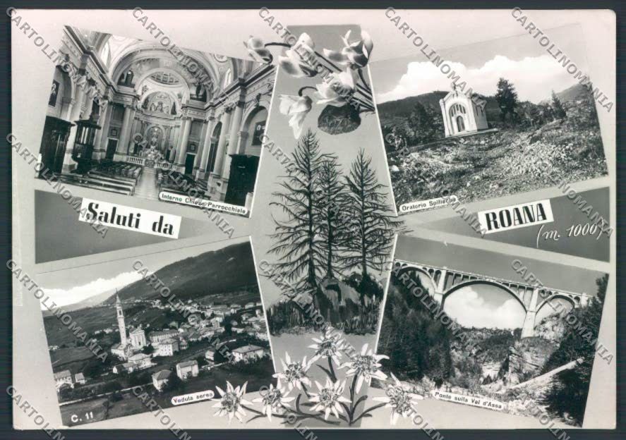 Vicenza Roana Saluti da foto FG cartolina ZF1661 – fronte
