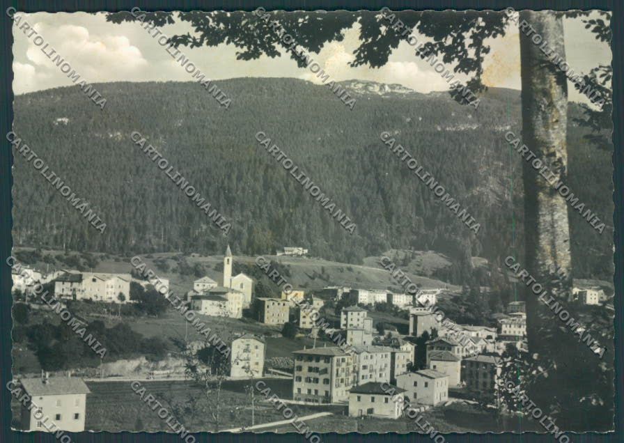Trento Andalo foto FG cartolina ZF1720 – fronte