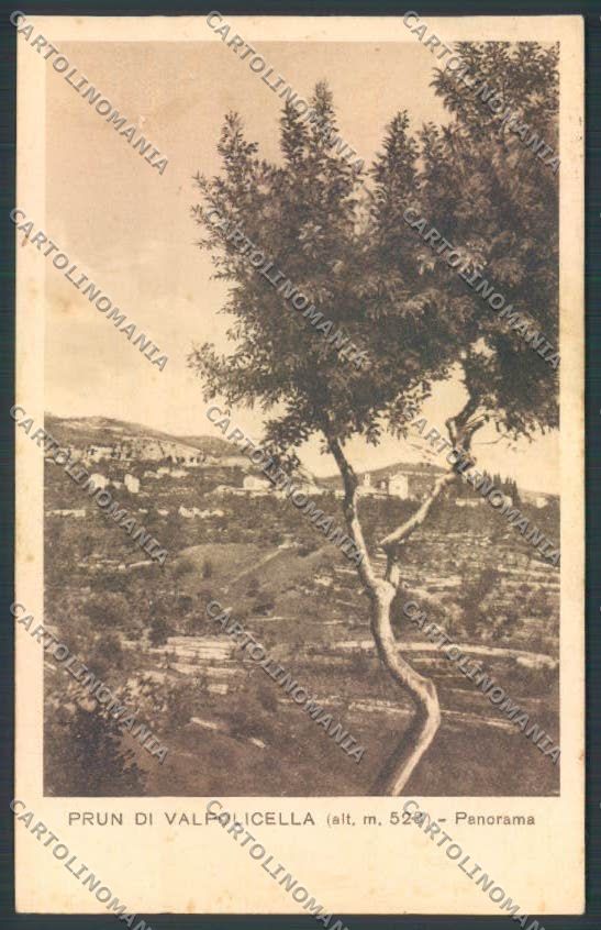Verona Prun Valpolicella cartolina ZF1961 – fronte