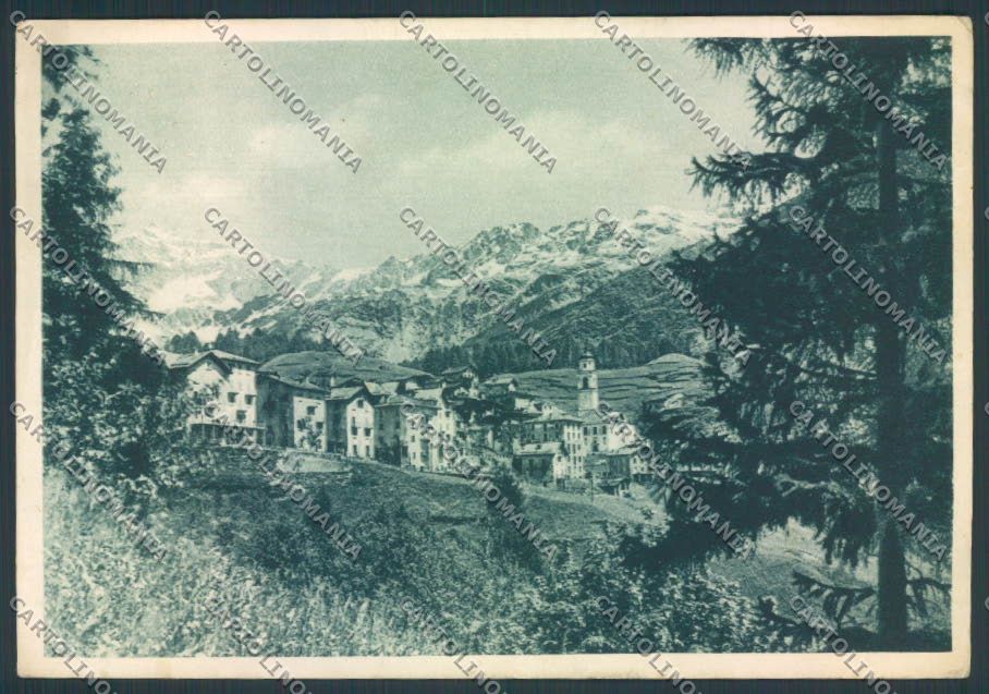 Sondrio Primolo ValmalencoFG cartolina ZF2013 – fronte