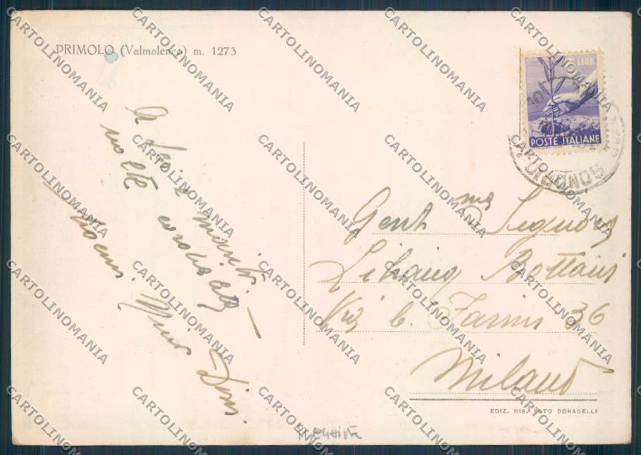 Sondrio Primolo ValmalencoFG cartolina ZF2013 – retro