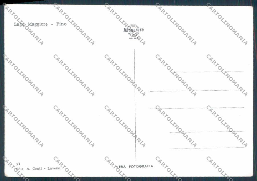 Varese Pino foto FG cartolina ZF2056 – retro