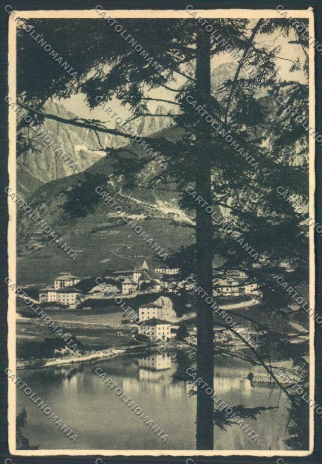 Trento Molveno FG cartolina ZF2110 – fronte