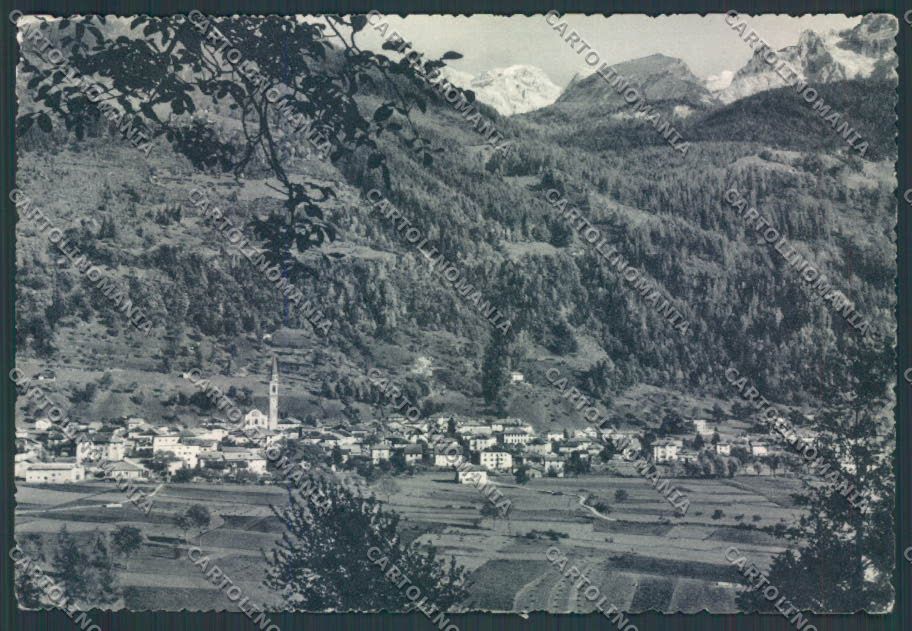 Trento Pinzolo FG cartolina ZF2116 – fronte