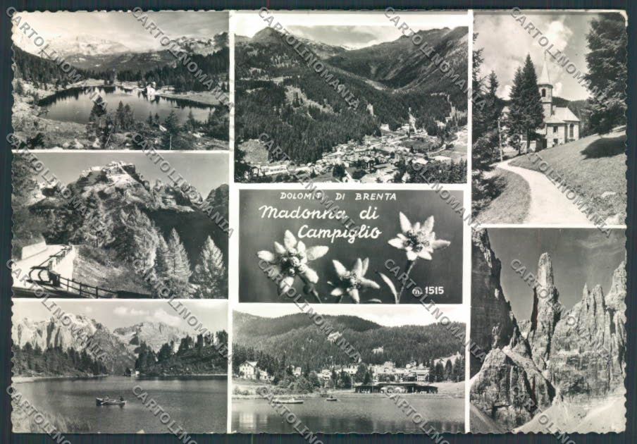 Trento Madonna di Campiglio foto FG cartolina ZF2121 – fronte