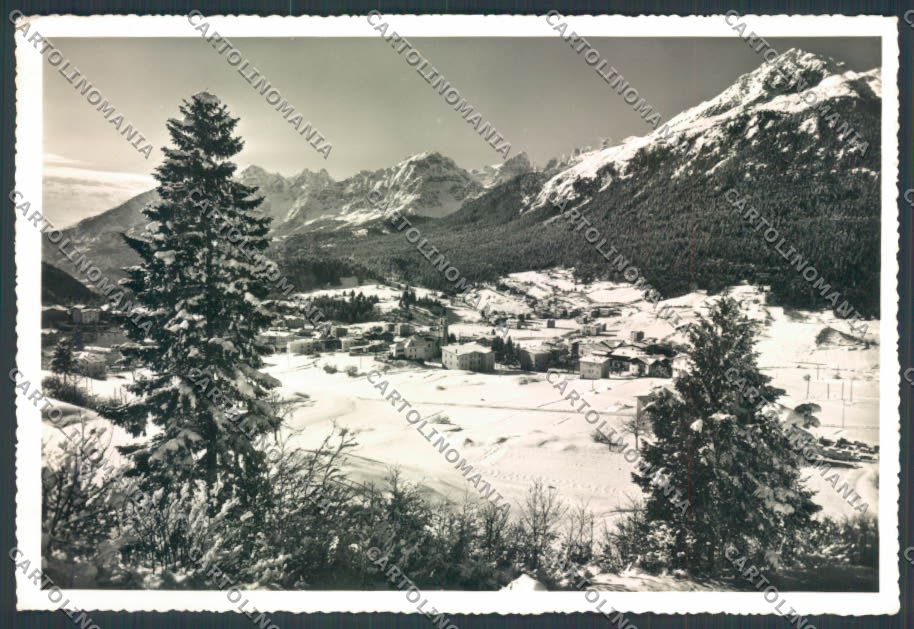 Trento Andalo foto FG cartolina ZF2142 – fronte