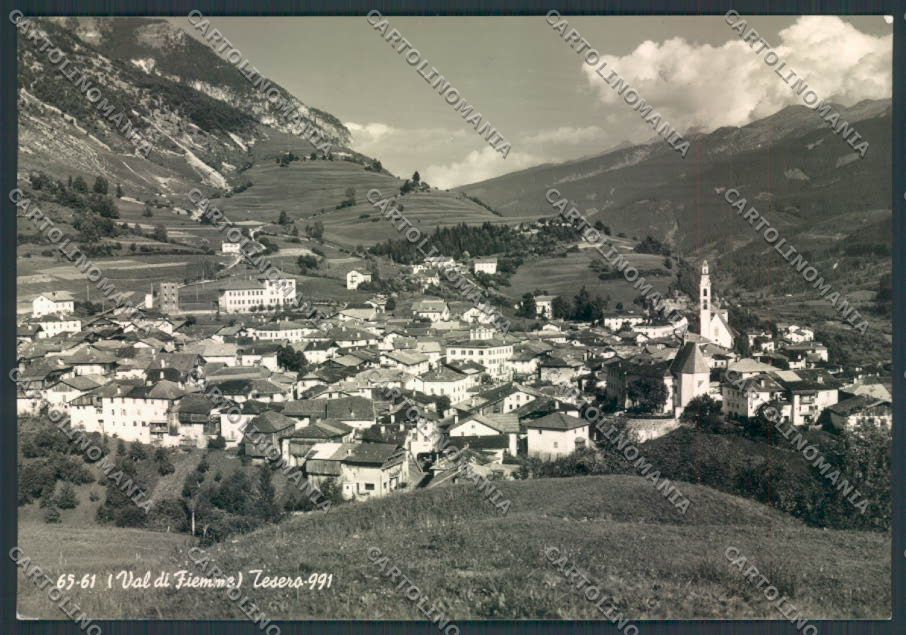 Trento Tesero foto FG cartolina ZF2189 – fronte