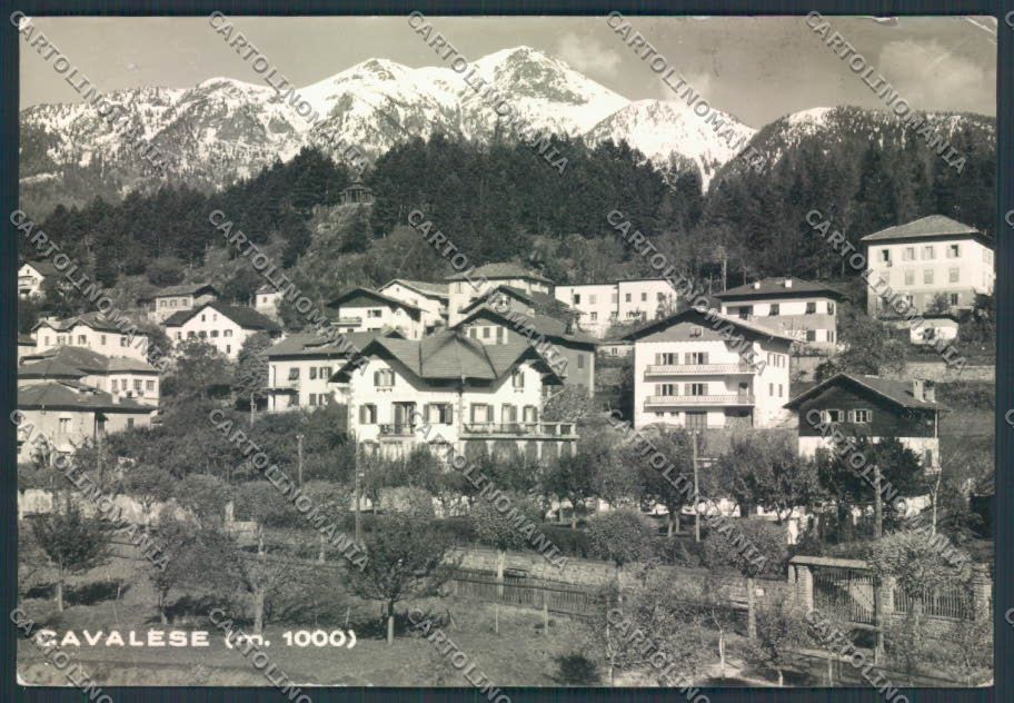 Trento Cavalese foto FG cartolina ZF2208 – fronte