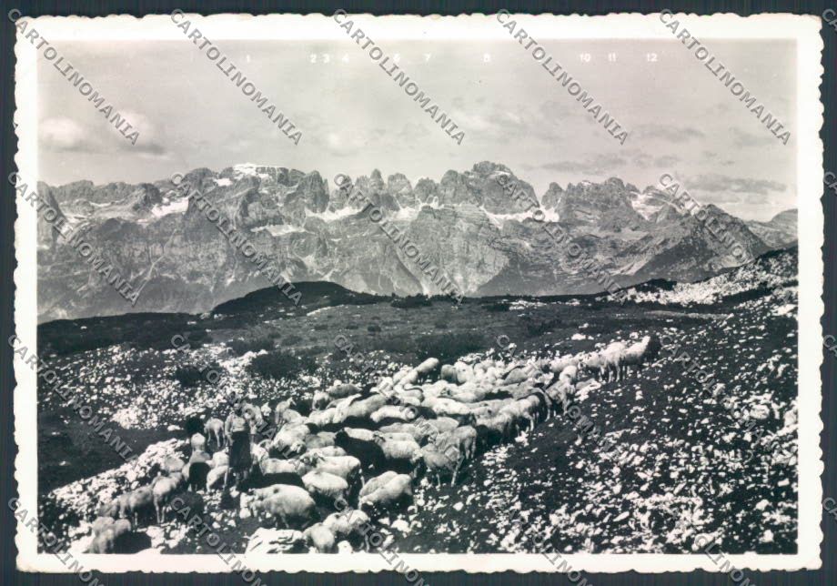 Trento Paganella foto FG cartolina ZF2217 – fronte
