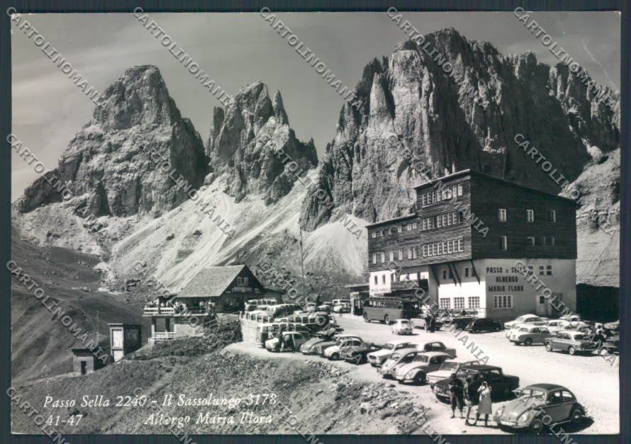 Trento Passo Sella foto FG cartolina ZF2234 – fronte