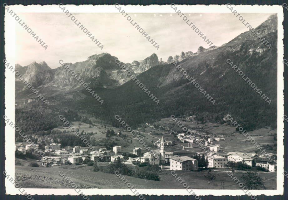 Trento Andalo foto FG cartolina ZF2245 – fronte